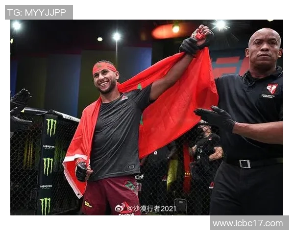 MMA格斗之夜：KO瞬间集锦